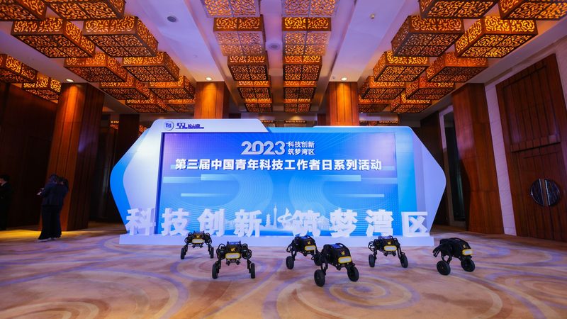 数字化转型的关键：如何选择合适的解决方案**
